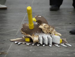 Schützenfest Montag 2026
